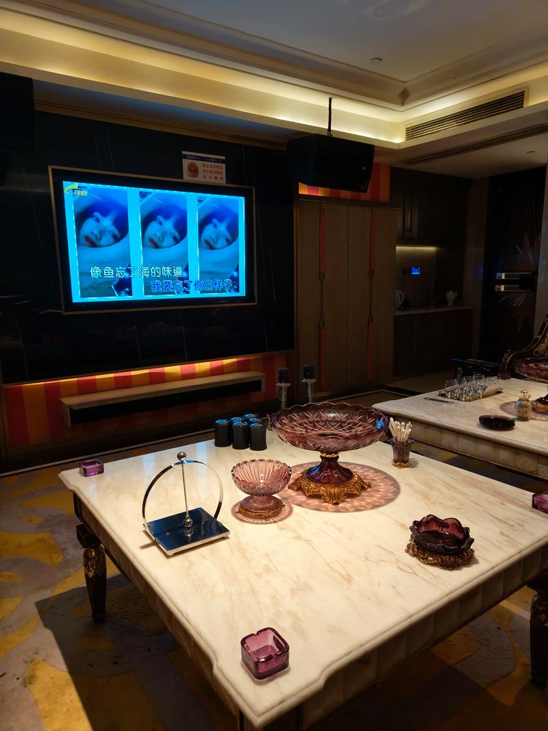 安顺商务ktv消费攻略-普定县ktv预定